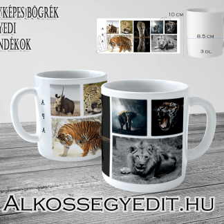 APA_HANGULATAI_ALLATOK