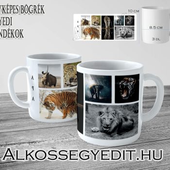 APA_HANGULATAI_ALLATOK