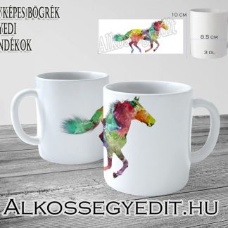 LO_VIZFESTÉK