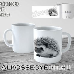 Sünis bögre
