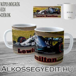 LEWIS HAMILTON F1