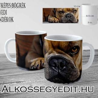 Kutyus Pihen 01