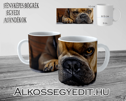 Kutyus Pihen 01
