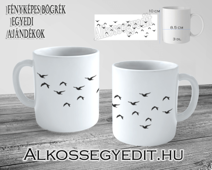 Madarak Shiluet Alkossegyedit
