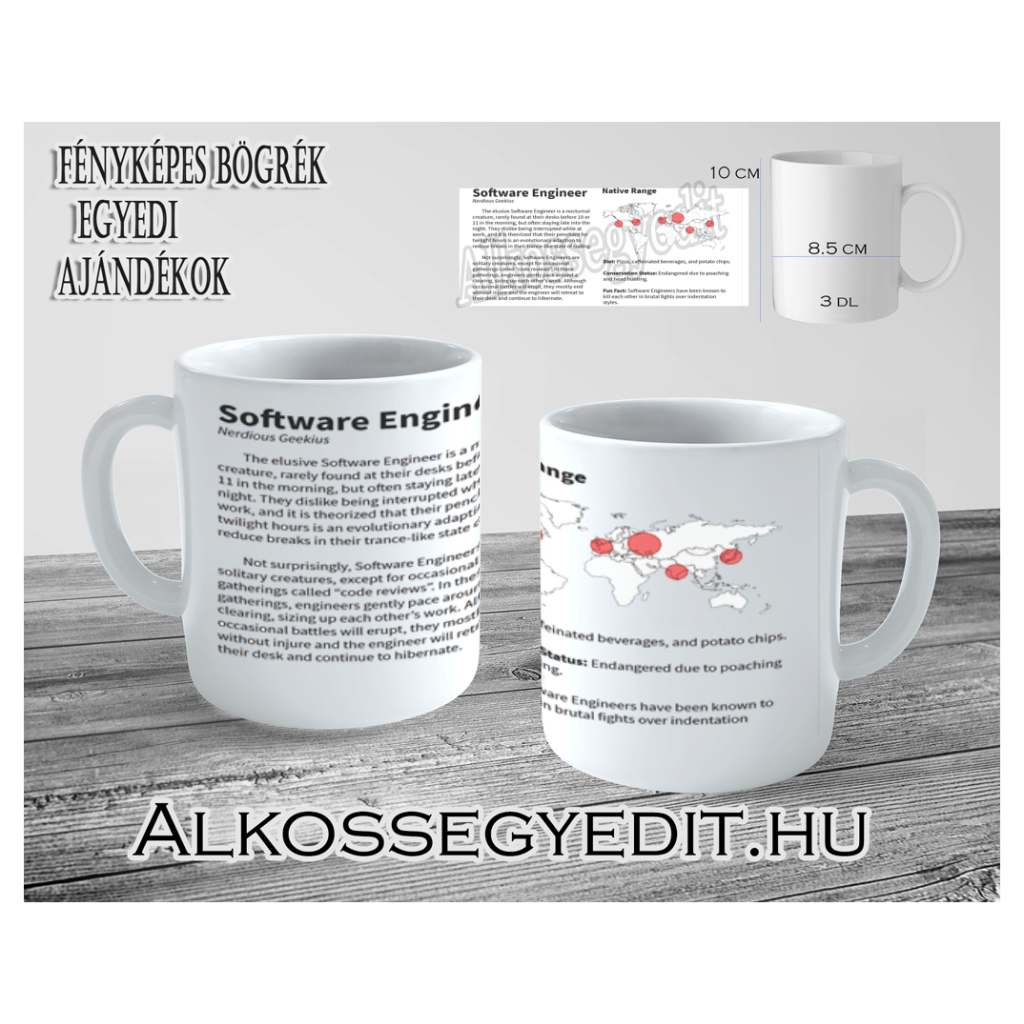A szoftvermérnök – vicces bögre