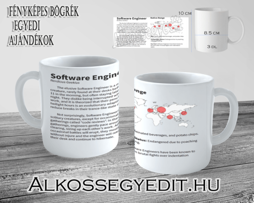 Software Engineer Alkossegyedit