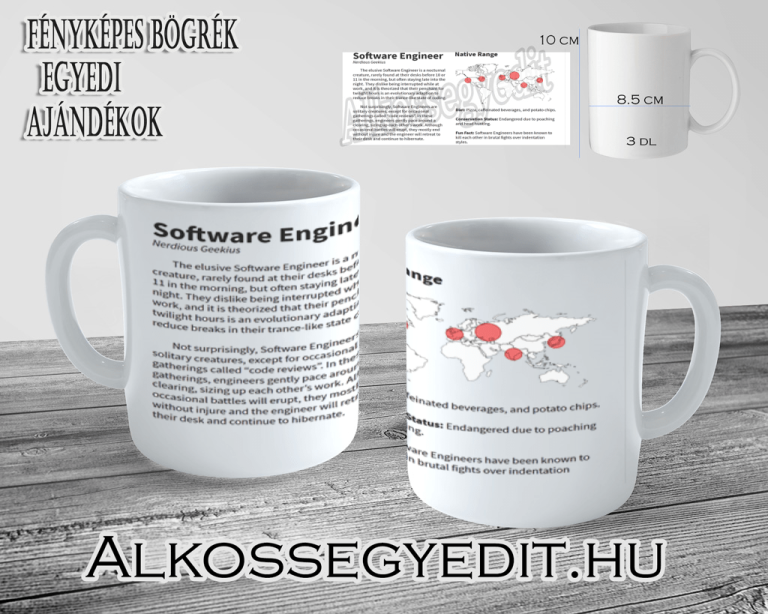 Software Engineer Alkossegyedit