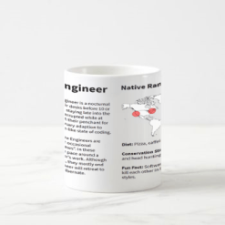 Software Engineer Kozep