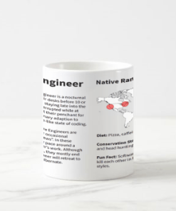 software engineer kozep