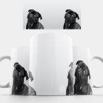 Fekete Mopsz Kutya Gen