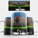 Hattyúk a vízen bögre