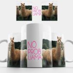 No Prob Llama