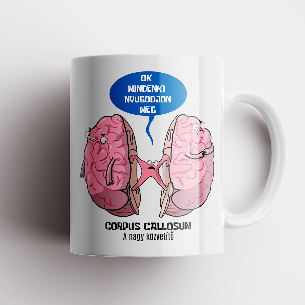 Corpus Callosum bögre