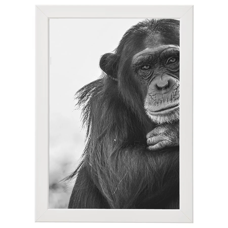 Fehér fa keret fémlaphoz