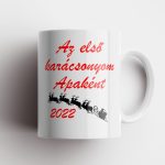 Elso Karacsonyom Apakent Bogre