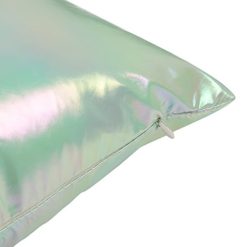 Holo Parnahuzat Vert Clair 2