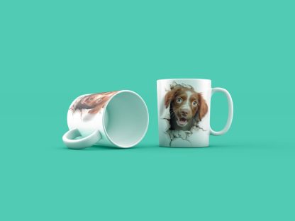 Kutyak Irish Setters Gen