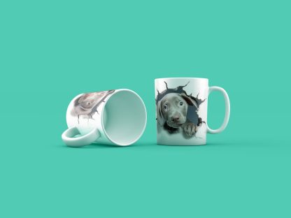 Kutyak Weimaraners Gen