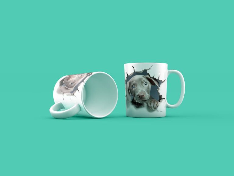 Kutyak Weimaraners Gen