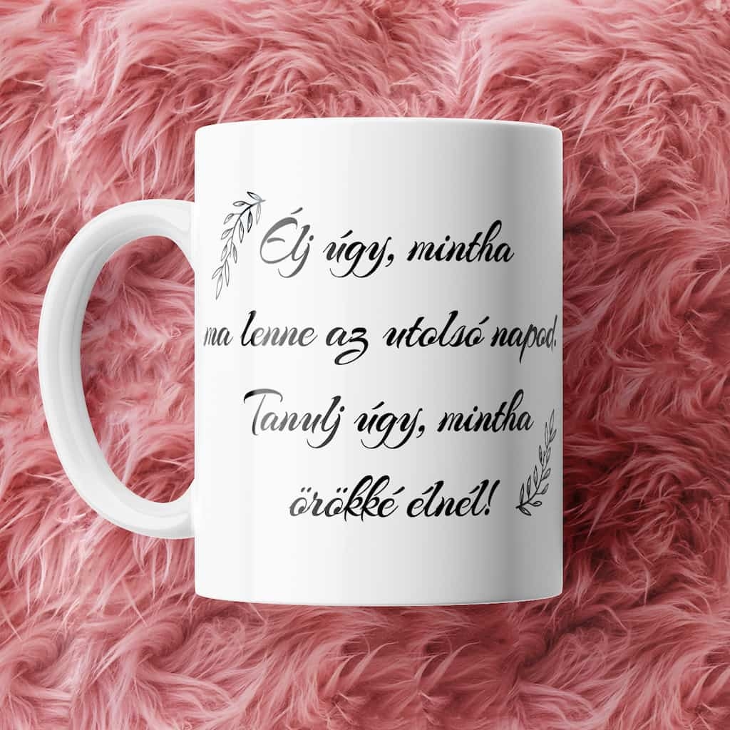 Élj úgy, tanulj úgy… ballagási bögre