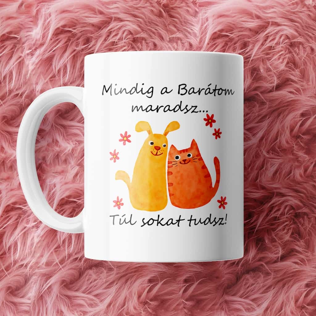 Mindig a Barátom maradsz bögre V4