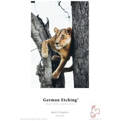 16 German Etching