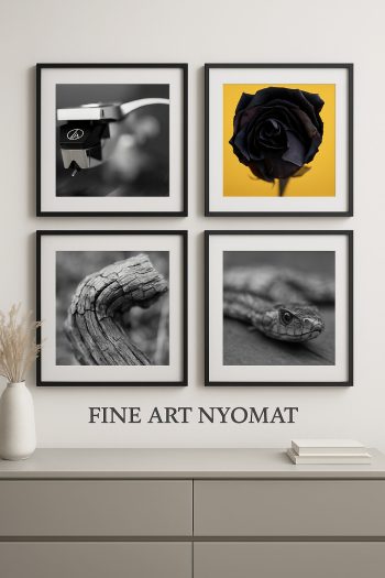 Fine Art Alkossegyedit.hu