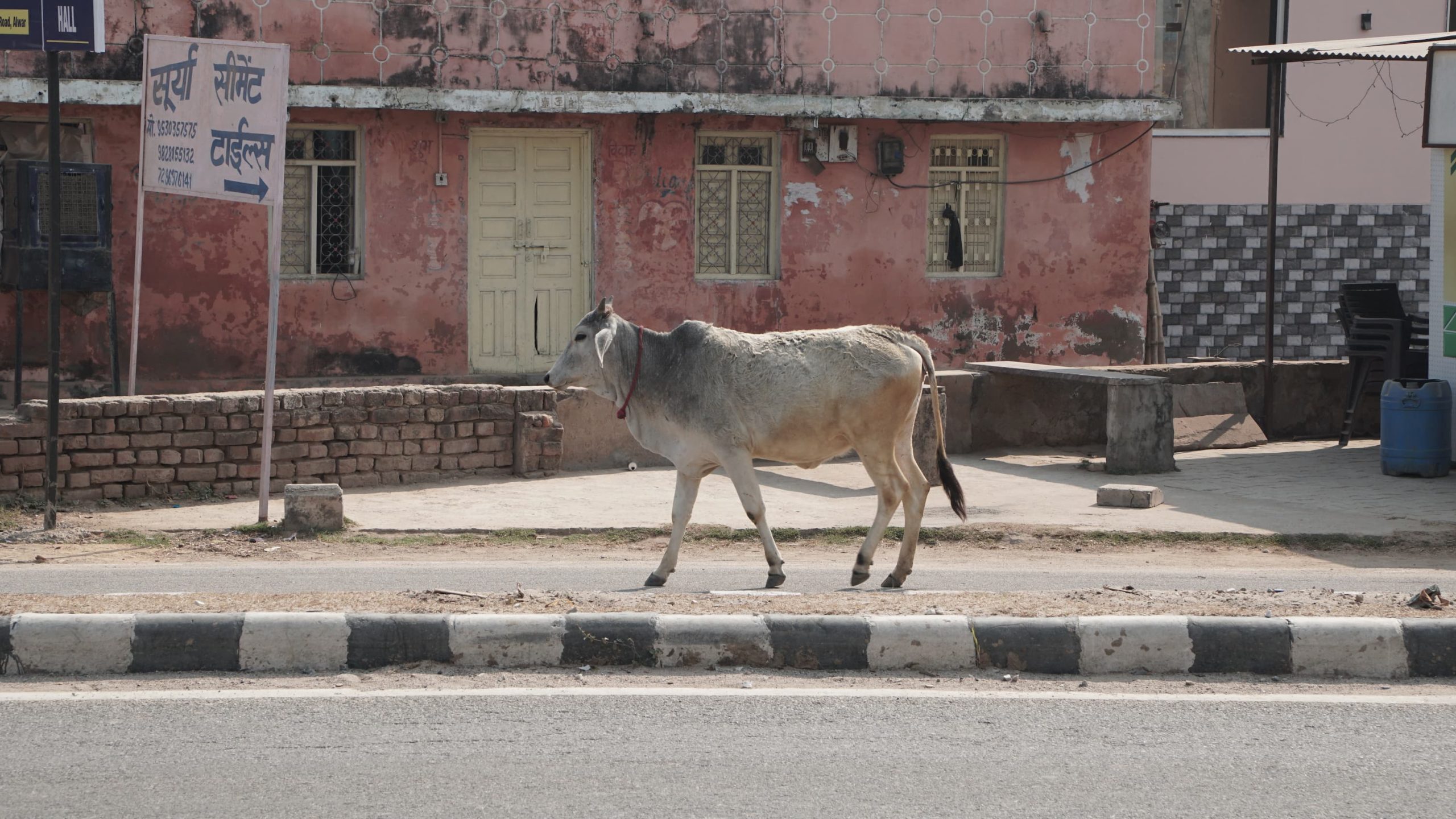 Tóth istván fotográfiái Az utca vándora